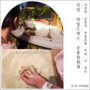 초등학생을 위한 실험실 콘서트1 | 인천 곤충체험 가능한 월미도 와일드벅스 곤충탐험대 초등학생 아이와 다녀온 후기