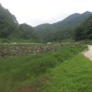 분지농장 이미지