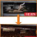 와이엠아이 네이버블로그