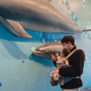 장생포고래로L 이미지