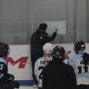 (주)화이트폭스 이미지