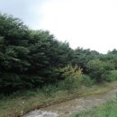 유성구세동보건진료소 이미지