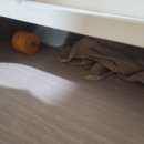 다인생활건강 | 용원동 다인로얄팰리스 입주청소 후기