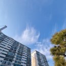 남천1-210 이미지