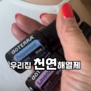 동탄메디칼약국 | Q. 도테라오일 페퍼민트, 라벤더오일 천연해열제로 추천하는이유가 궁금합니다!