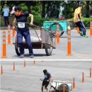 [암울한 현실]환경미화원 시험 이미지