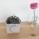 수경꽃집 이미지