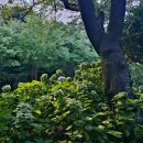 달맞이고개를 걸으며 이미지