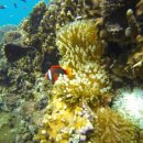 호우목장 이미지