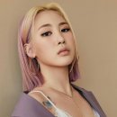 헤어쇼앤위그