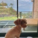 성산에코 이미지