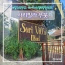 사리산 | 우붓 숙소 추천 사리빌라우붓 3박 후기 마이리얼트립 할인코드포함