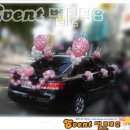 이벤트벌룬포유 이미지