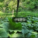 산방환담 이미지
