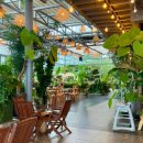 스테이리라 이미지