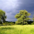 꽃이있는풍경 이미지