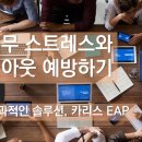 카리스솔루션 이미지