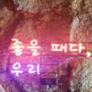 롤인익선 이미지