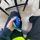 마도공단로 1길 | 유기동물 보호센터 봉사 반려마루 화성 주말 오전 유기견봉사 후기