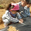 화곡농장 이미지