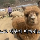 나드리다방 이미지