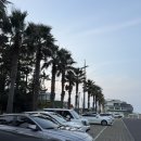 탐라스테이 | [가족여행] 탐라스테이 호텔 후기 - 제주도 애월 숙소 2박3일