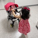 두나의 하루 | 두나 바구니 카시트 6개월 실사용 솔직 후기(내돈내산)