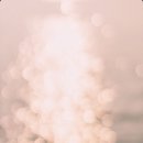 퀘렌시아 이미지