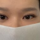 상봉 속눈썹 “피어래쉬” 연장 후기
