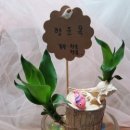 문화초병설유치원 이미지