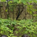 해담어린이집 이미지