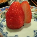 기꾸초밥 이미지