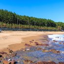 포항시북구95 이미지