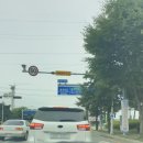 강창구 찹쌀 진순대 영등포점 이미지