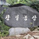 창일농장 이미지