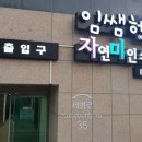 임쌤헤어 이미지
