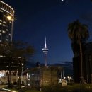 씨티오브드림 | 마카오 시티오브드림 호텔 무료 셔틀 타는 법(타는 곳, 시간) | 마카오 반도<->타이파섬 왕복 후기