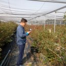 이종준농장 이미지