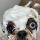 인천미용상사 이미지