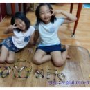 코이스토리 이미지
