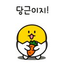 챔피언점핑다이어트