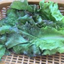 삼성기사식당