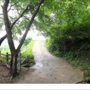 건기속옷 이미지