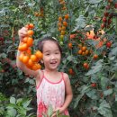 효민농장 이미지