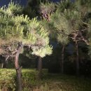 삼성동-18 이미지