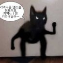 스시어게인