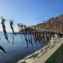 매화보건진료소 이미지