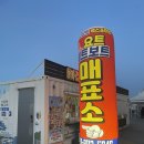 낭만 바다 | 여수 밤바다에서 즐기는 불꽃축제! 여수 낭만 바다 요트 후기