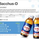 박카스 - 기장군 차성남로65번길 12 | 박카스