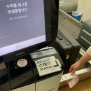 고고카케어 | 오키나와 #1 대가족여행 (oz172/오달렌트카/우미카지테라스/국제거리/후치쿠모치점)